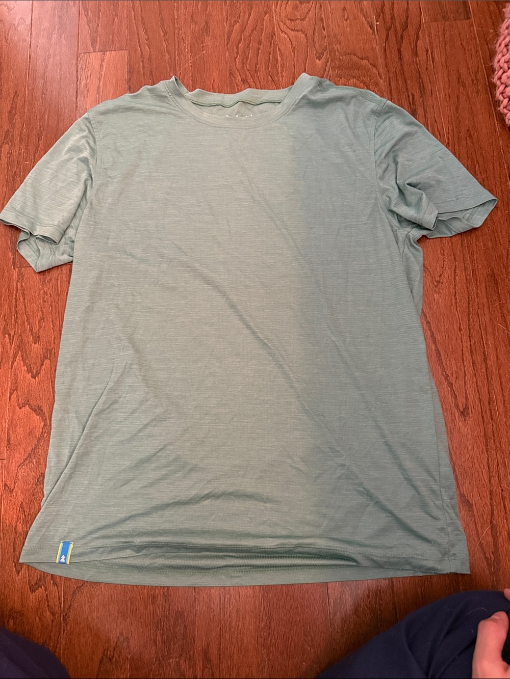 chubbies Men's Crewneck Tee in Sage Green